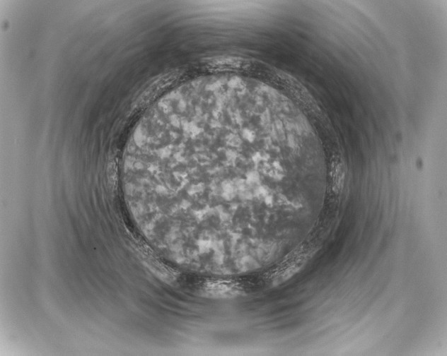 X0000087410753200705111851