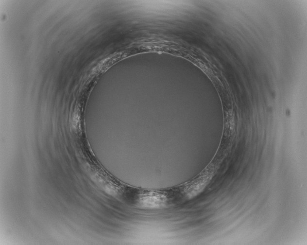 X0000087410754200705111851