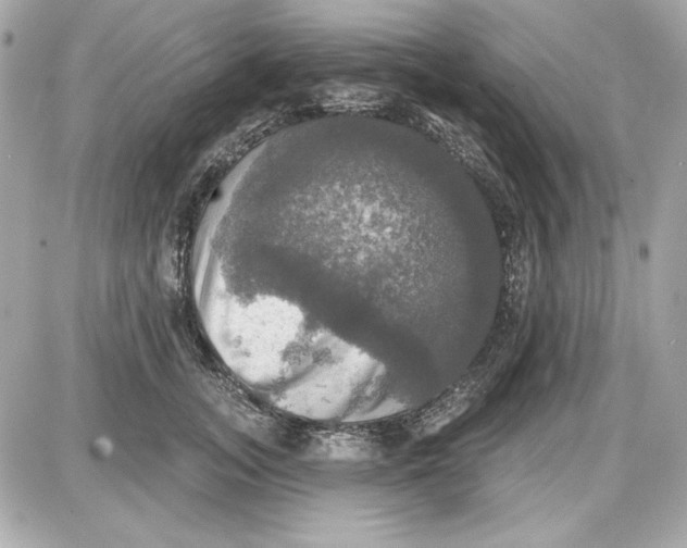 X0000087410755200705111851