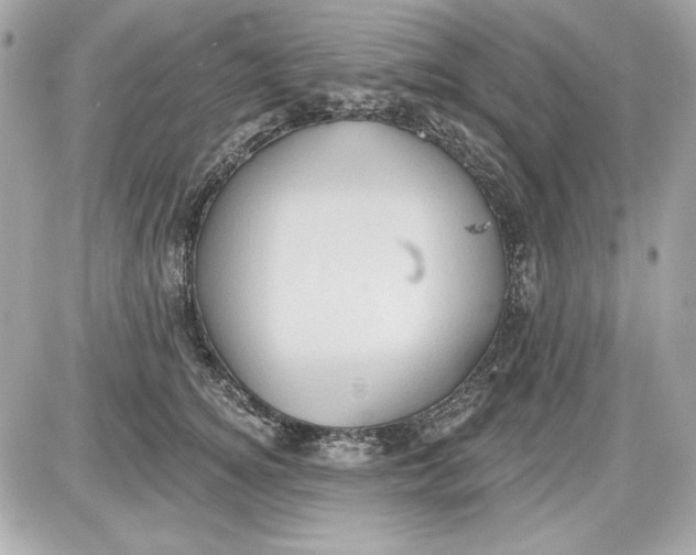 X0000087410756200705111851