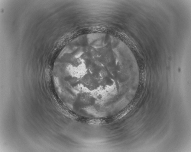 X0000087410757200705111851