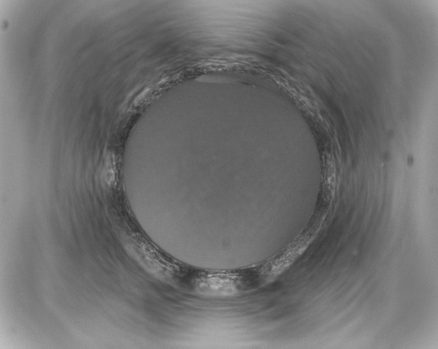 X0000087410758200705111851