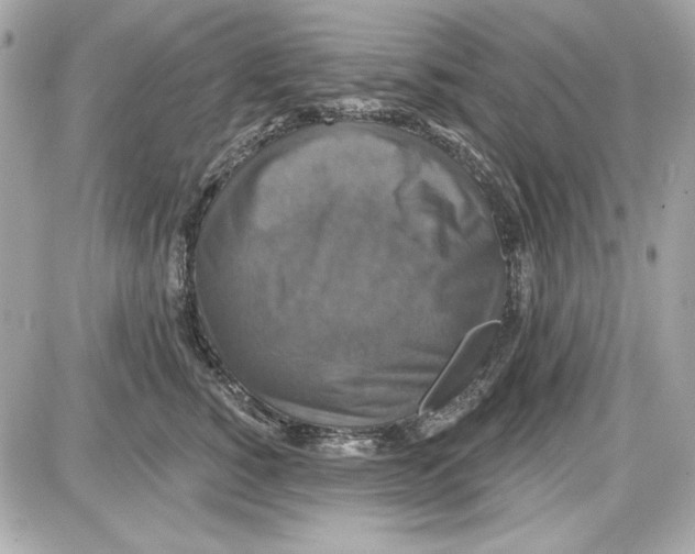 X0000087410760200705111851