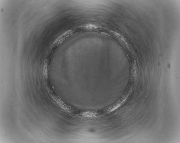 X0000087410762200705111851