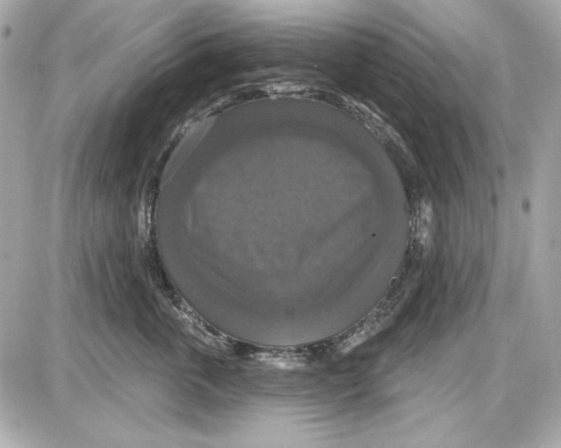 X0000087410763200705111851