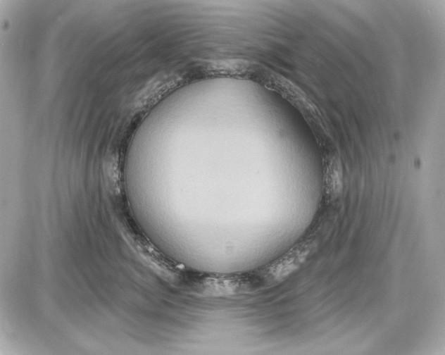 X0000087410764200705111851