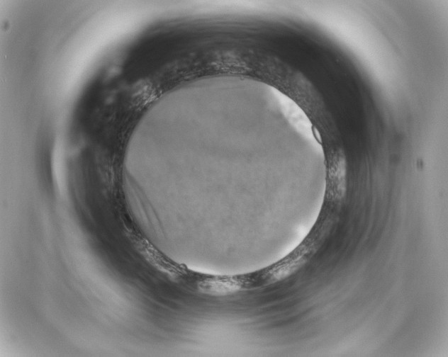 X0000087410765200705111851