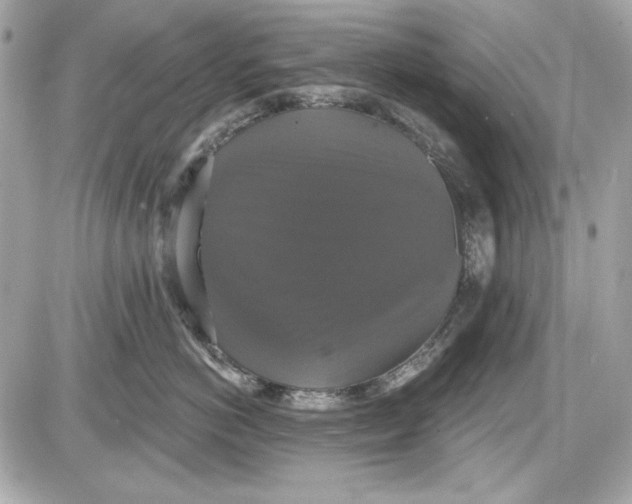 X0000087410766200705111851