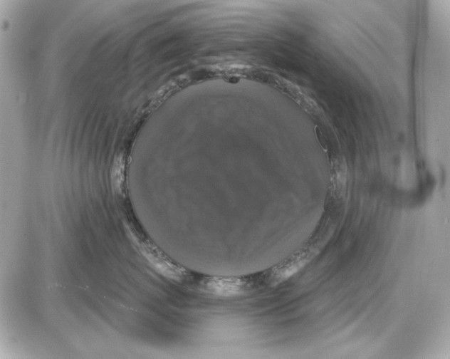 X0000087410767200705111851