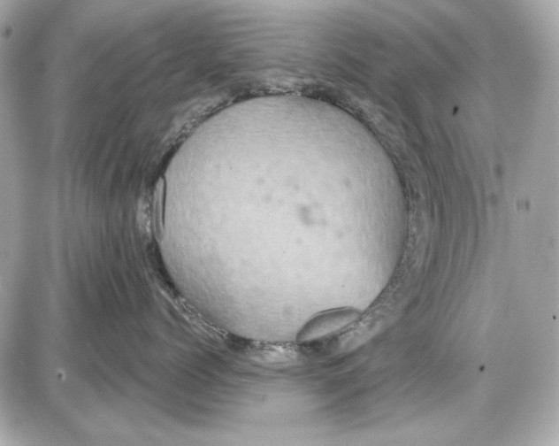 X0000087410768200705111851