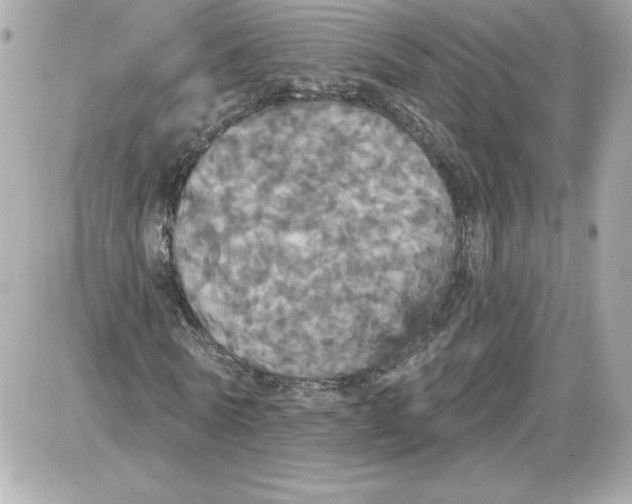 X0000087410770200705111850