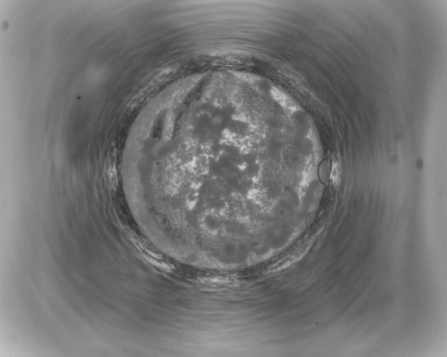 X0000087410771200705111850