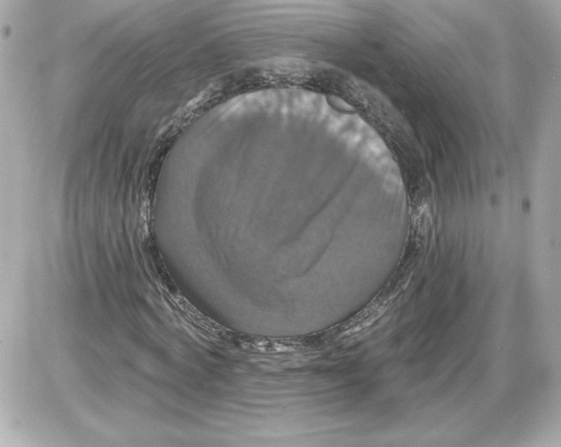 X0000087410772200705111850