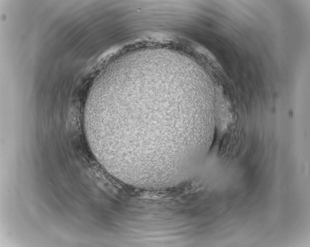 X0000087410773200705111850