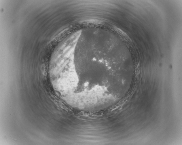 X0000087410774200705111850