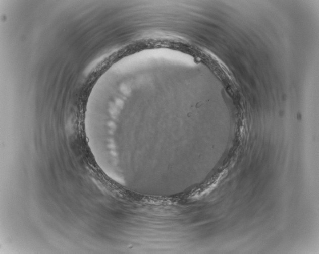 X0000087410775200705111850