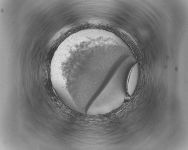 X0000087410776200705111850