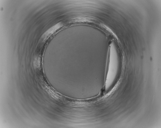 X0000087410777200705111850