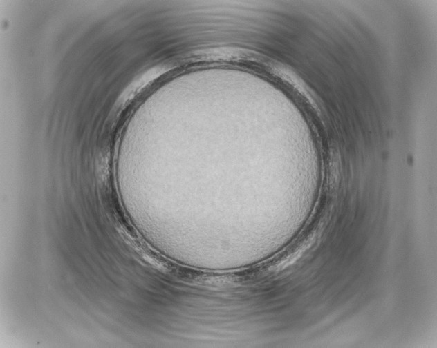 X0000087410778200705111850