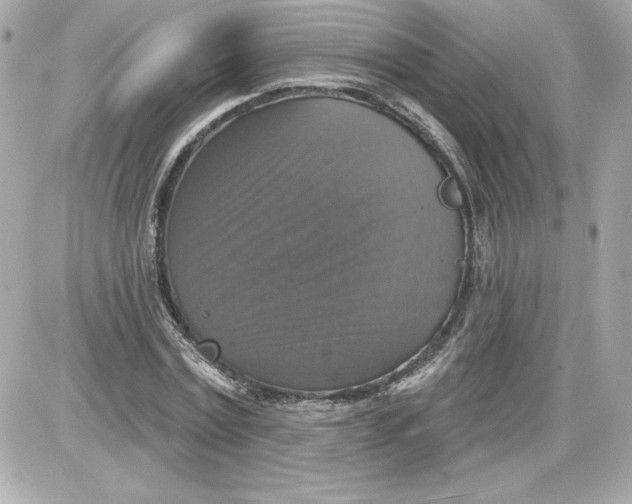 X0000087410779200705111850