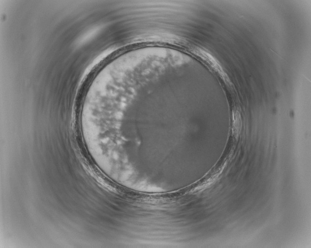 X0000087410780200705111850