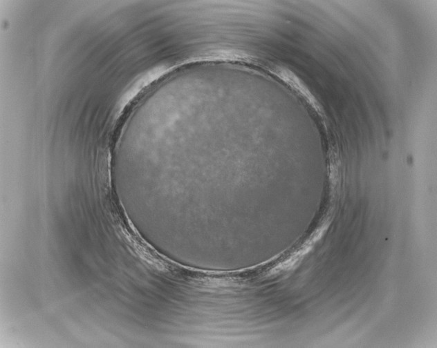 X0000087410781200705111850