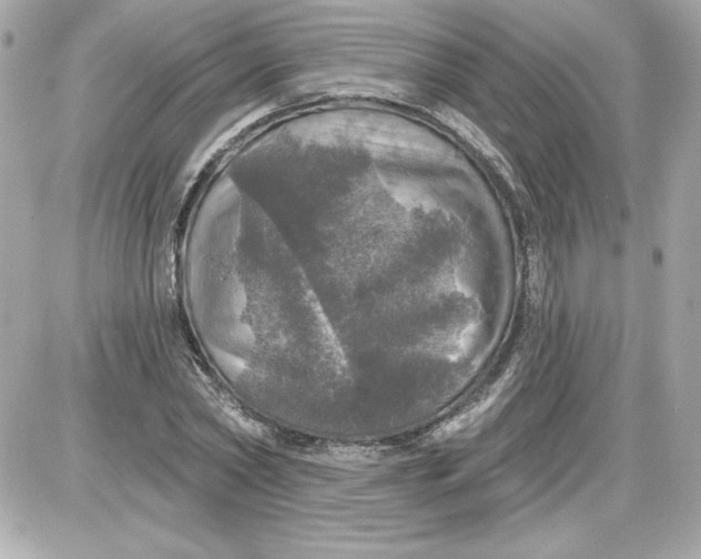 X0000087410782200705111850