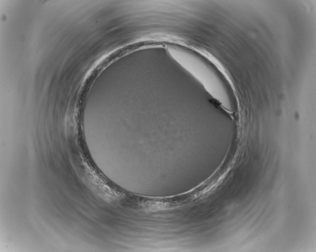 X0000087410783200705111850