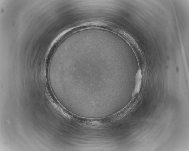 X0000087410784200705111850