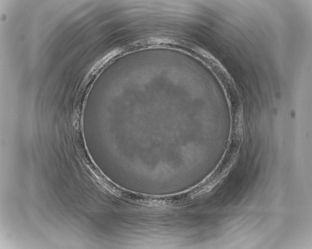 X0000087410785200705111850