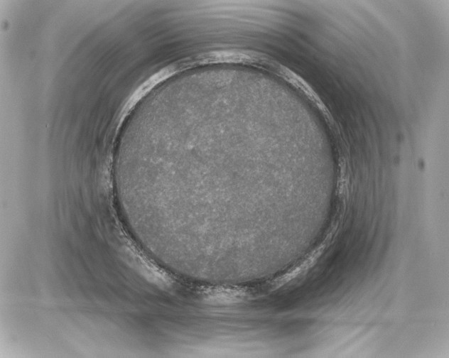 X0000087410786200705111850