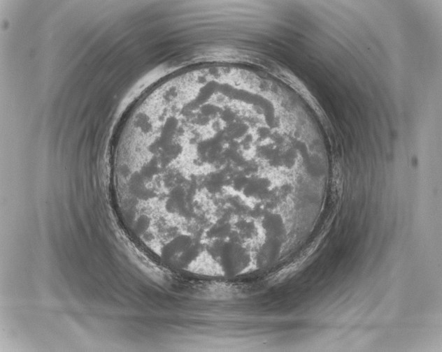 X0000087410787200705111850