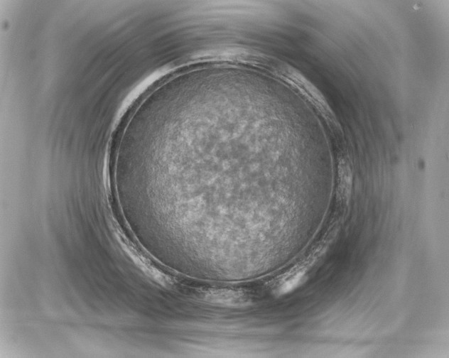 X0000087410788200705111850