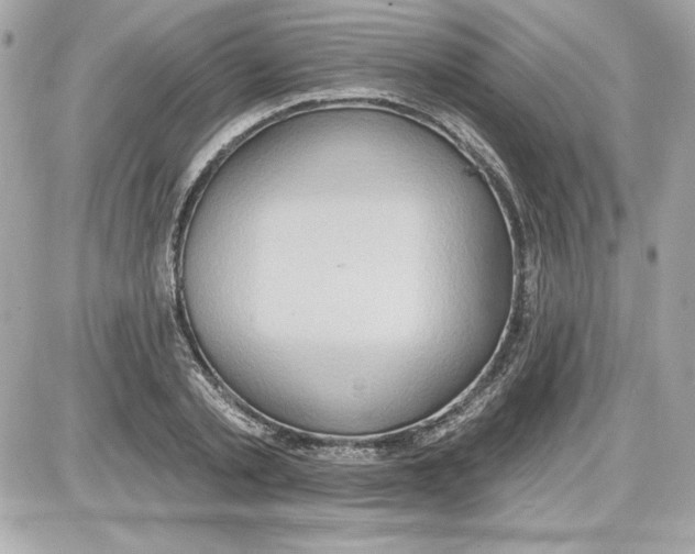 X0000087410789200705111850