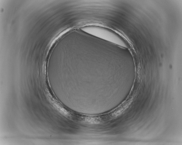 X0000087410790200705111850