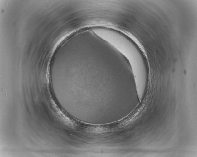 X0000087410791200705111850