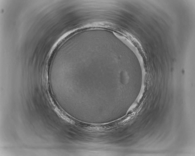 X0000087410792200705111850