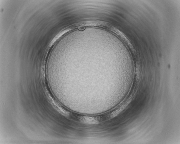 X0000087410794200705111850