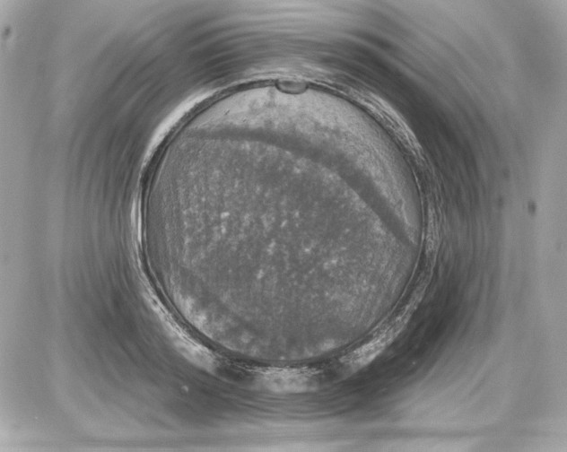 X0000087410796200705111850