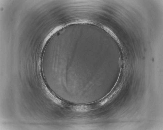 X0000087410797200705111850