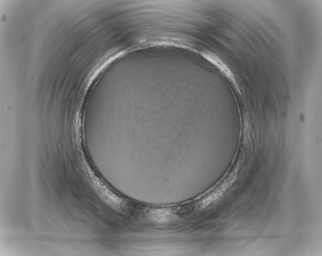 X0000087410798200705111850