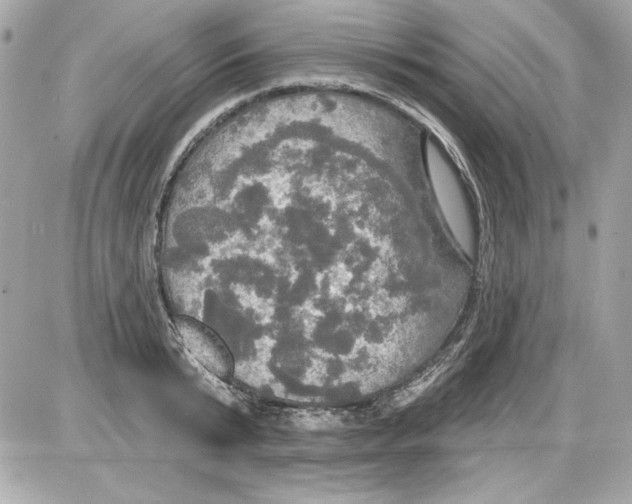 X0000087410799200705111850