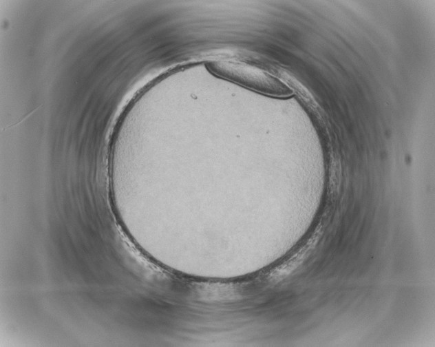 X0000087410800200705111850