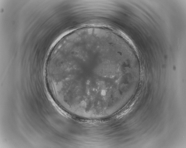 X0000087410803200705111850