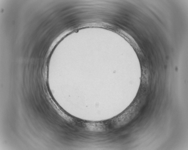 X0000087410804200705111850