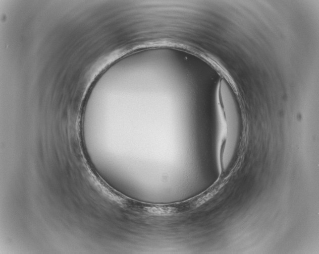 X0000087410805200705111850