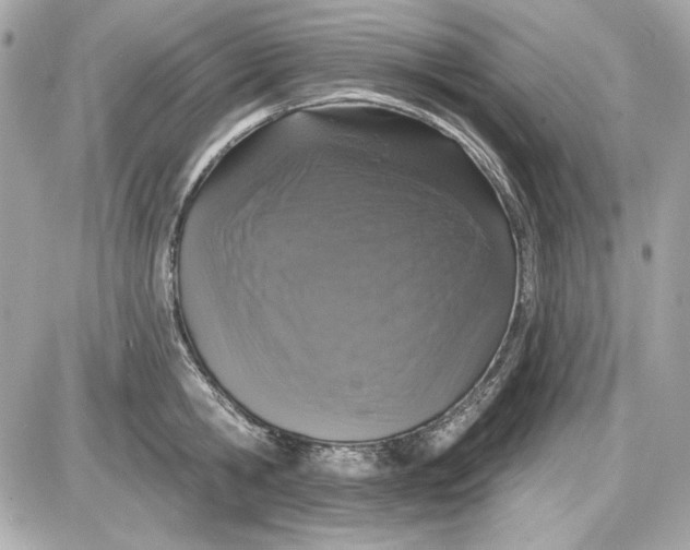 X0000087410806200705111850