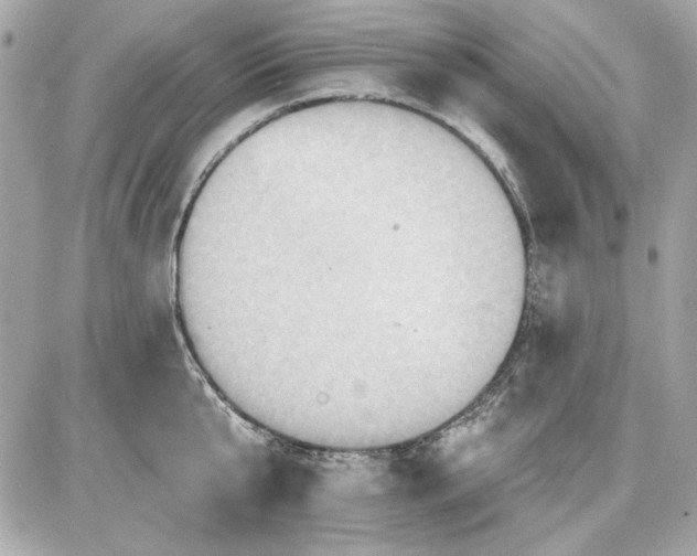 X0000087410807200705111850