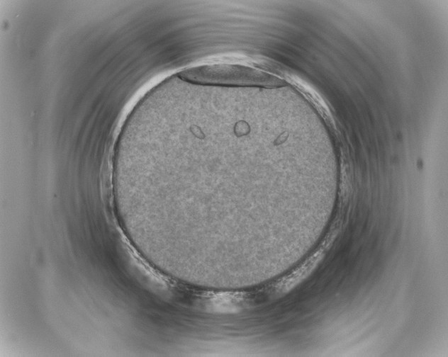 X0000087410808200705111850