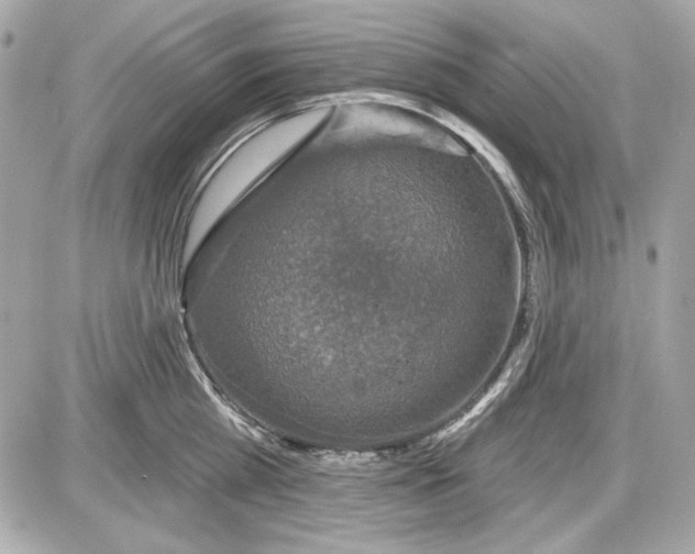 X0000087410809200705111850